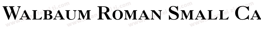 Walbaum Roman Small Caps & Oldstyle Figures字体转换